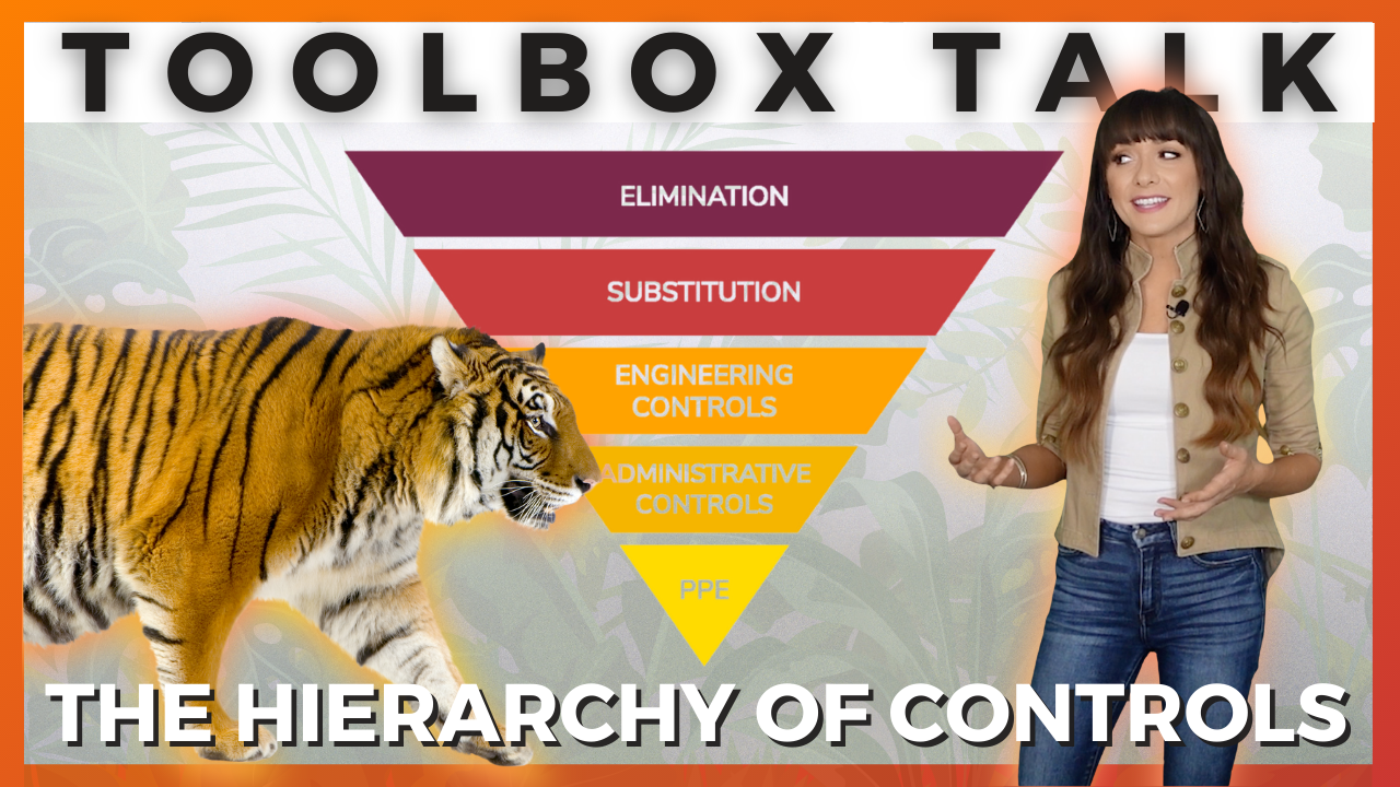 Safety's Hierarchy of Controls with Examples