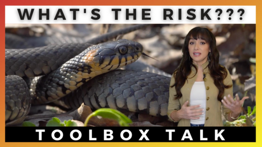 What's the Risk?! Toolbox Talk