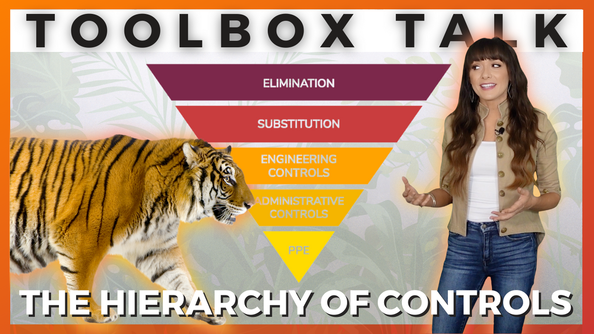 hierarchy of control in safety with examples