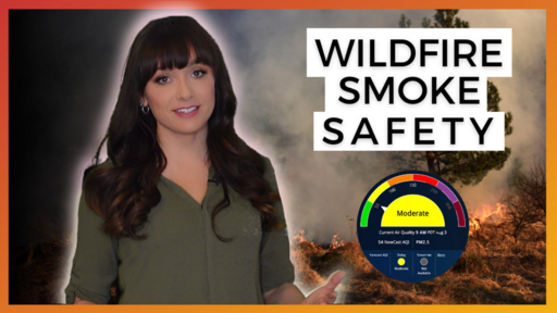 Wildfire Smoke Safety Toolbox Talk